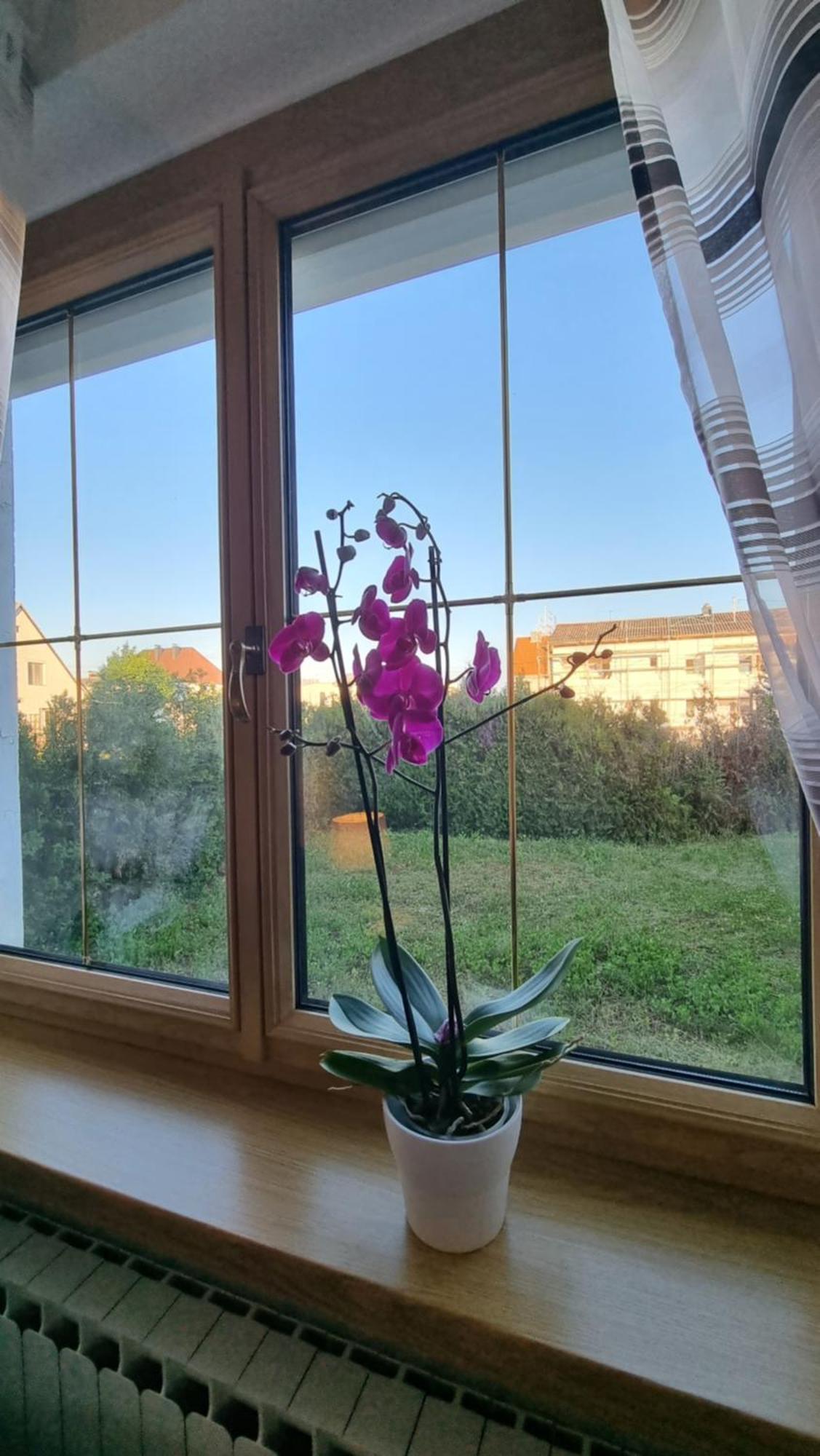 3- Zimmer-wohnung In Leonding Appartement *